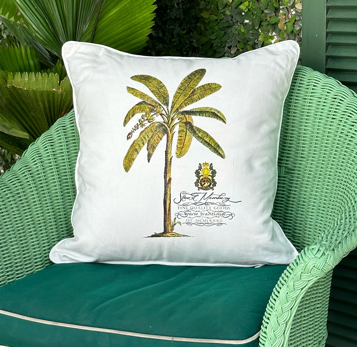 BAHAMA PALM