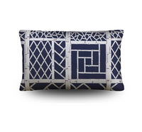 TRELLIS LUMBAR