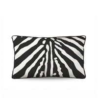 ZEBRA LUMBAR