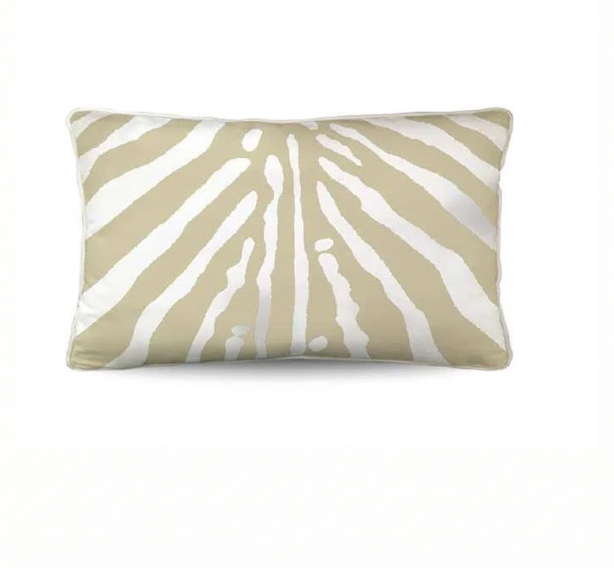 ZEBRA LUMBAR